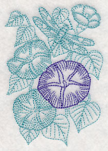 Garden Morning Glory Etching