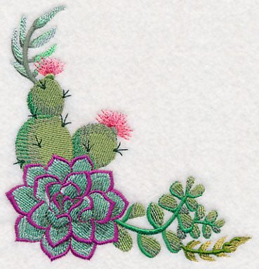 Stylish Succulents Corner