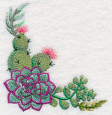 Stylish Succulents Corner