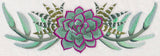 Stylish Succulents Border