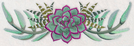 Stylish Succulents Border