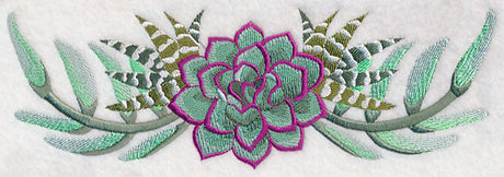 Stylish Succulents Border