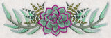 Stylish Succulents Border
