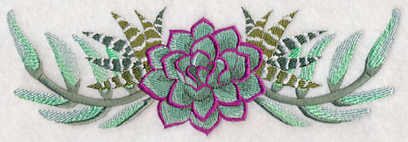 Stylish Succulents Border
