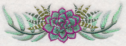 Stylish Succulents Border