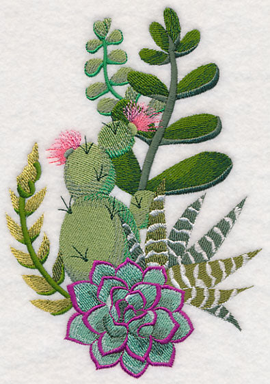 Stylish Succulents Spray