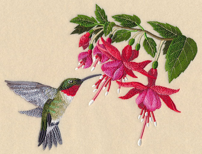 Ruby-Throated Hummingbird and Fuchsia