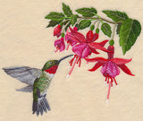 Ruby-Throated Hummingbird and Fuchsia