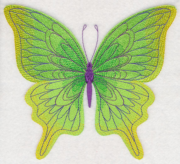 Spring Spectacular Butterfly 2