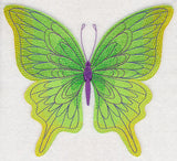 Spring Spectacular Butterfly 2