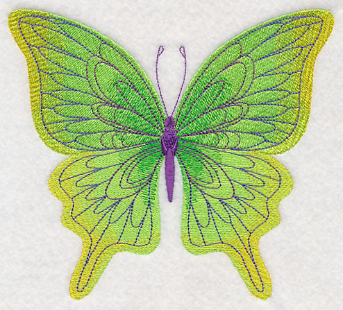 Spring Spectacular Butterfly 2