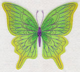 Spring Spectacular Butterfly 2