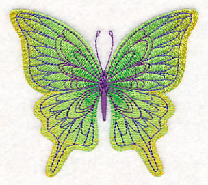 Spring Spectacular Butterfly 2