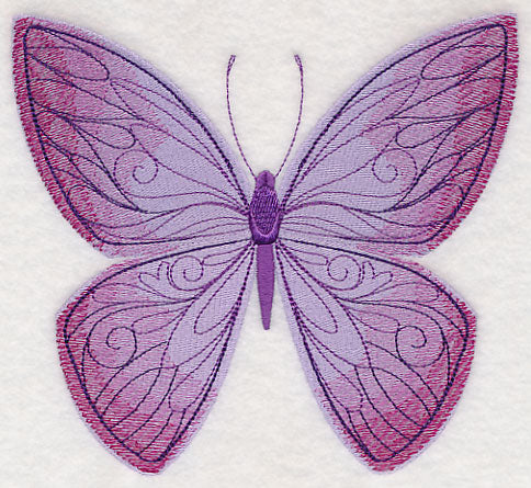 Spring Spectacular Butterfly 4