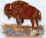 American Bison
