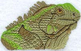 Green Iguana Head
