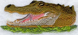 American Alligator Head
