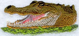 American Alligator Head