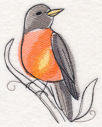 Robin in Watercolor