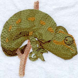Chameleon
