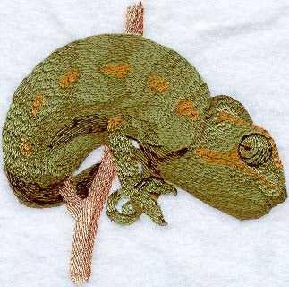 Chameleon