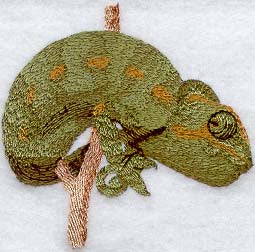 Chameleon