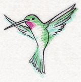 Hummingbird in Watercolor