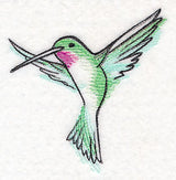 Hummingbird in Watercolor