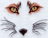 Fox Eyes