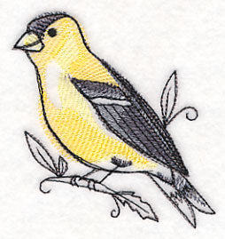 Goldfinch in Watercolor