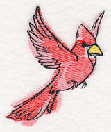 Cardinal in Watercolor