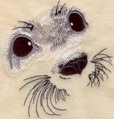Harp Seal Pup Eyes