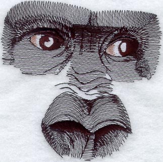 Mountain Gorilla Eyes