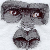 Mountain Gorilla Eyes