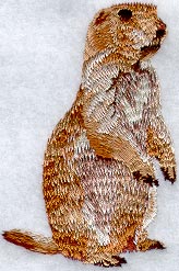 Prairie Dog