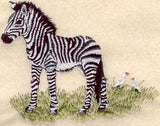Baby Zebra