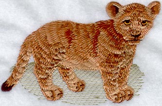 Baby Lion