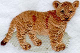 Baby Lion