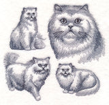 Persian Cat Sketch