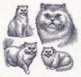 Persian Cat Sketch