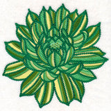 Delicate Garden Succulent