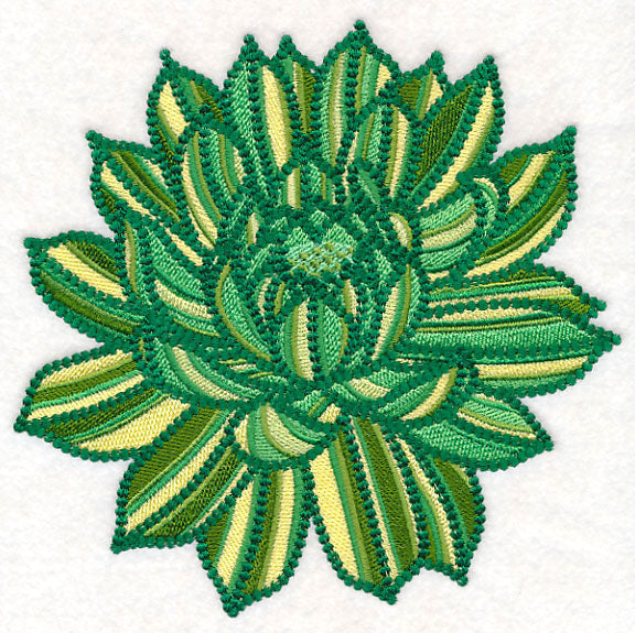 Delicate Garden Succulent