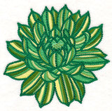 Delicate Garden Succulent