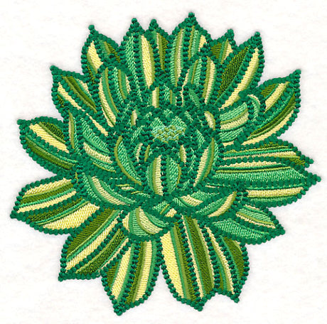 Delicate Garden Succulent