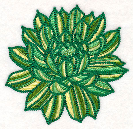 Delicate Garden Succulent