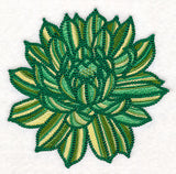 Delicate Garden Succulent