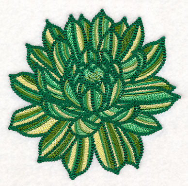 Delicate Garden Succulent