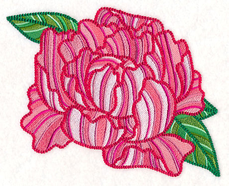 Delicate Garden Peony