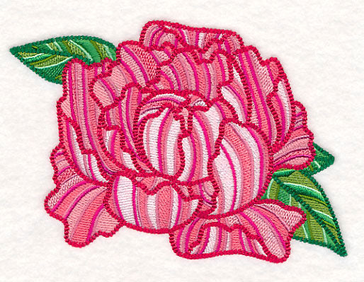 Delicate Garden Peony