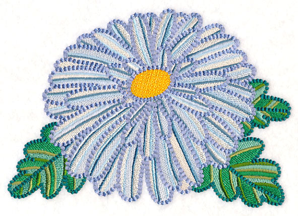 Delicate Garden Daisy